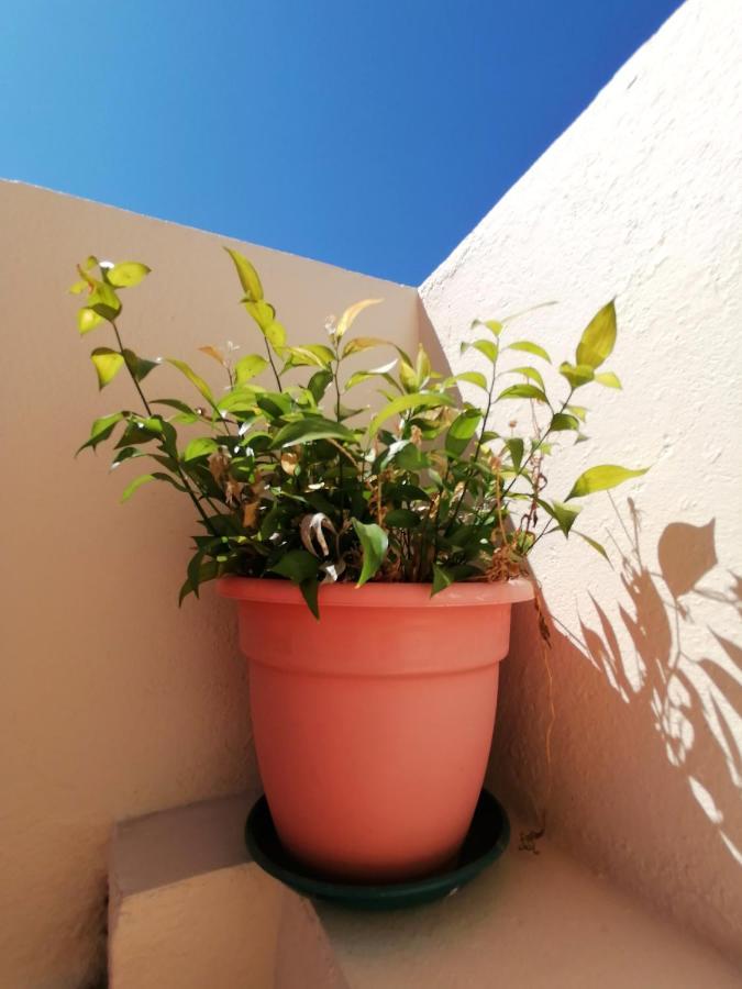 Apartamento Penha T3 Faro Exteriör bild